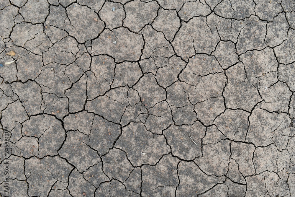 dry soil for background dry soil for background