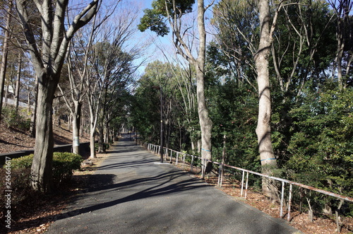 冬の散歩道