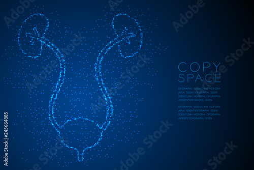 kidney and bladder shape Abstract Geometric Bokeh light circle dot pixel pattern; Medical Science Organ concept design blue color illustration isolated on blue gradient background with space; vector