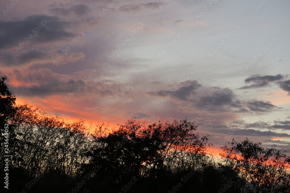 Fire in the tropical sky Fire in the tropical sky