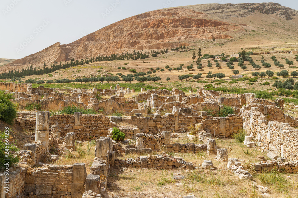 Ruins of the ancient Roman town Bulla Regia, Tunisia