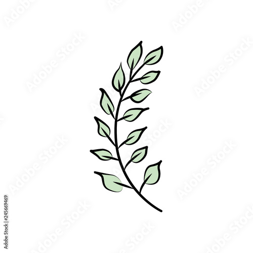 Branch with leaves ornament.