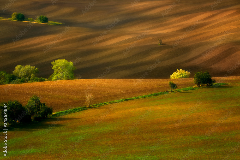Moravian fields, Moravia, Czech Republic, around the village Kyjov