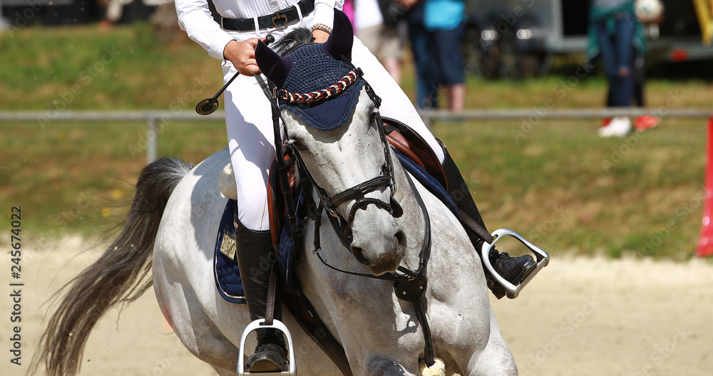 Obraz premium Horse in close-up galloping during the test in jumping tournament..