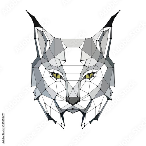 low poly portrait of a lynx with points, graphic monochrome illustration