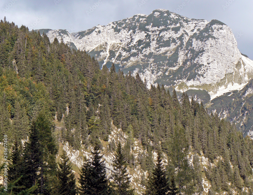 mountains in slovenia, alps