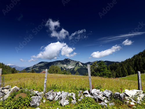 landscape with blue sky photo