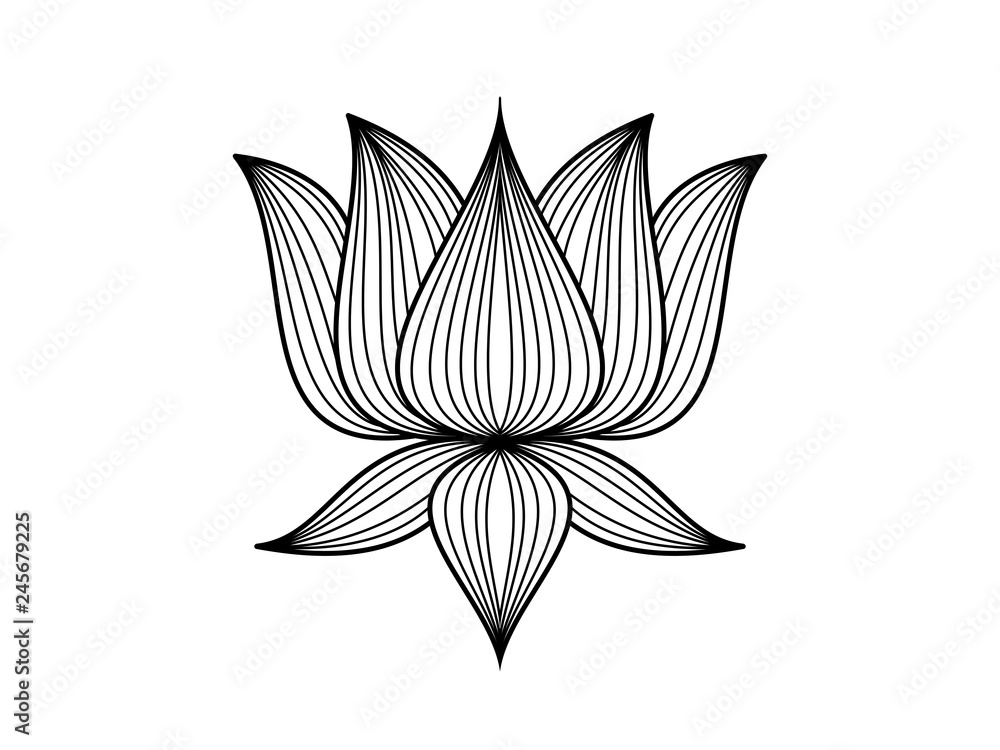 Lotus floral pattern design on white background Lotus floral pattern design on white background