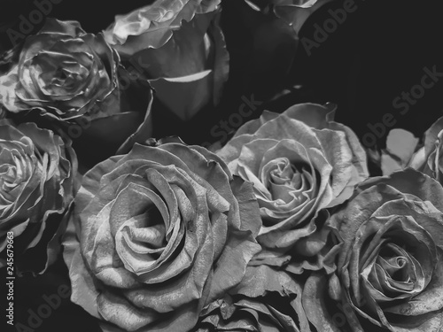 flowers wall background with amazing roses in black and white style