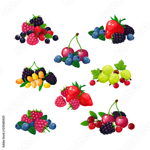 Fresh summer berries. Piles of raspberry currant strawberry gooseberry blackberry cranberry blueberry cartoon vector isolated set