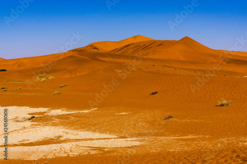 Red Sand Dunes in namibia