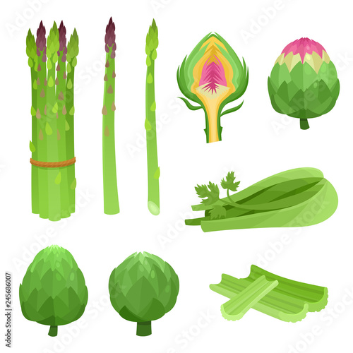 Bright vector illustration of colorful asparagus, celery, artichoke.