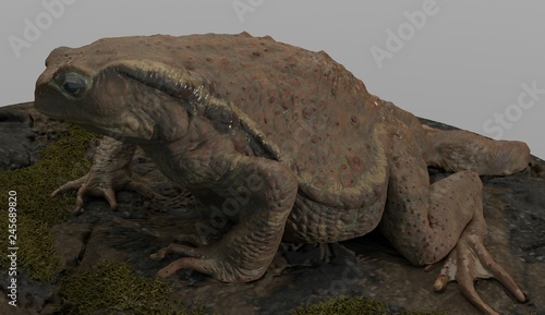 toad3dcg