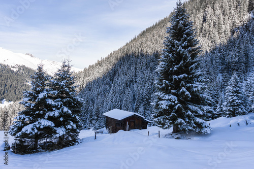 Austria Sunny Winter Mountains © Jannik
