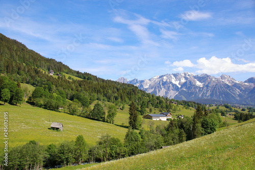 Panorama landscape and mountain meadows in Styria with view to the Dachstein mountains. View from Schladming  Austria