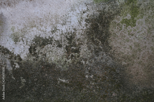 Wallpaper Mural Dirty Aging Concrete Wall Texture  Torontodigital.ca