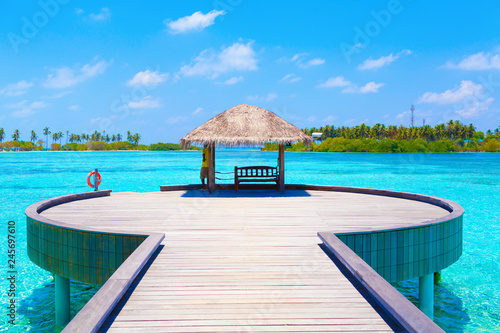summer hot caribbean maldives vacation beach background - view on the azure blue tropical exotic sea with wood bridge and loungers and house snf on island with palms pier