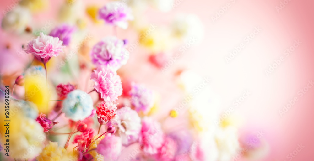 Fototapeta Spring or summer floral background. Blooming colorful small flowers.