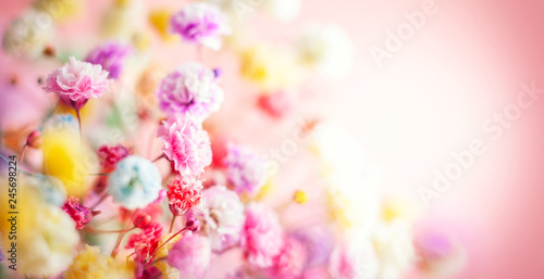 Spring or summer floral background. Blooming colorful small flowers.