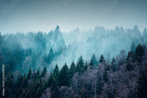 Fototapeta Naklejka Na Ścianę i Meble -  Beautiful winter mountain nature landscape with snow. Mountain forest with fog and mist with snow flakes and dark moody background. Harz Mountains National Park in Germany