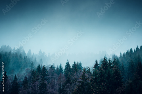 Beautiful winter mountain nature landscape with snow. Mountain forest with fog and mist with snow flakes and dark moody background. Harz Mountains National Park in Germany