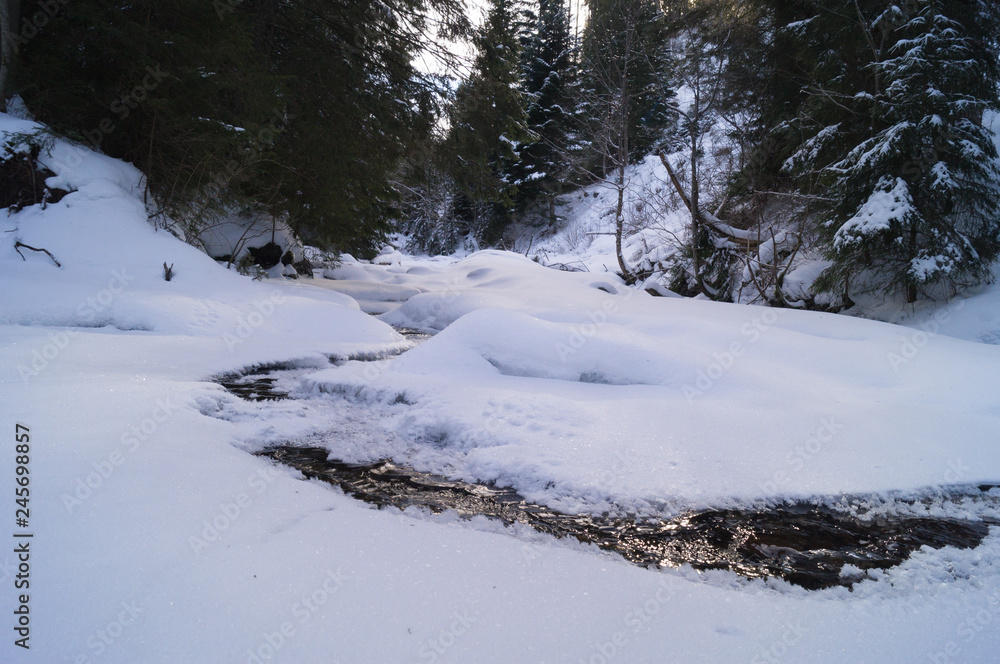 Winter adventures. Creek in the snow. Carpathians. Ukraine. Winter adventures. Creek in the snow. Carpathians. Ukraine.