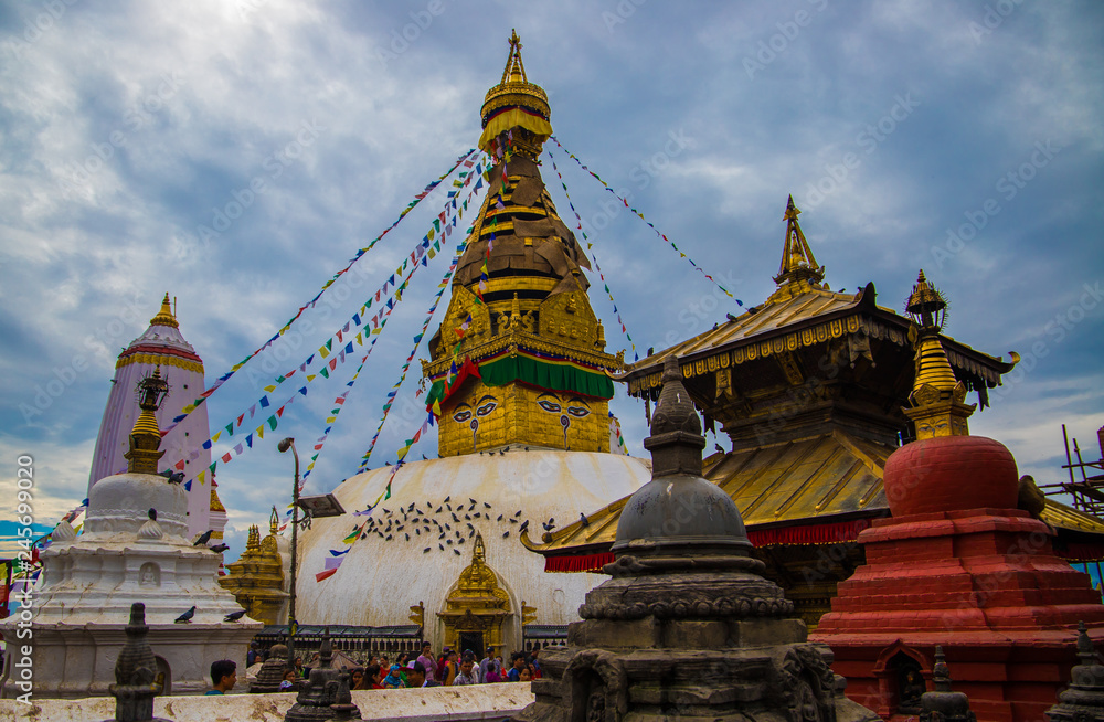 Naklejka premium Affentempel