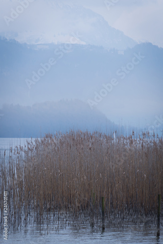 Mist on Lucerne lake