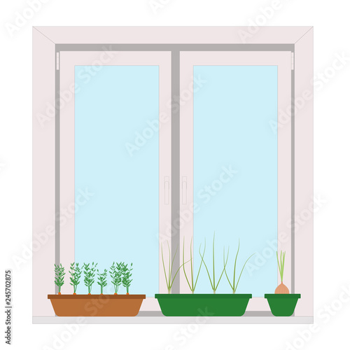 home vegetable garden on windowsill vector illustration