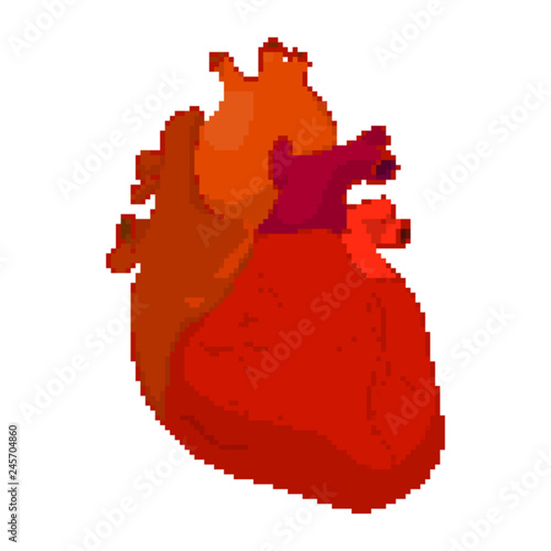 Vector illustration of pixel Human Heart isolated on a white background
