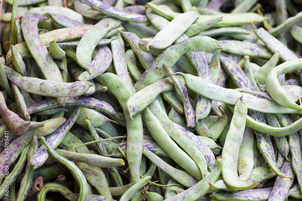 Fresh green beans in pods close-up as background for design Fresh green beans in pods close-up as background for design