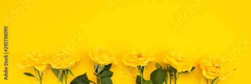 Yellow flowers on a yellow background. Spring, Easter, sunny mood.
