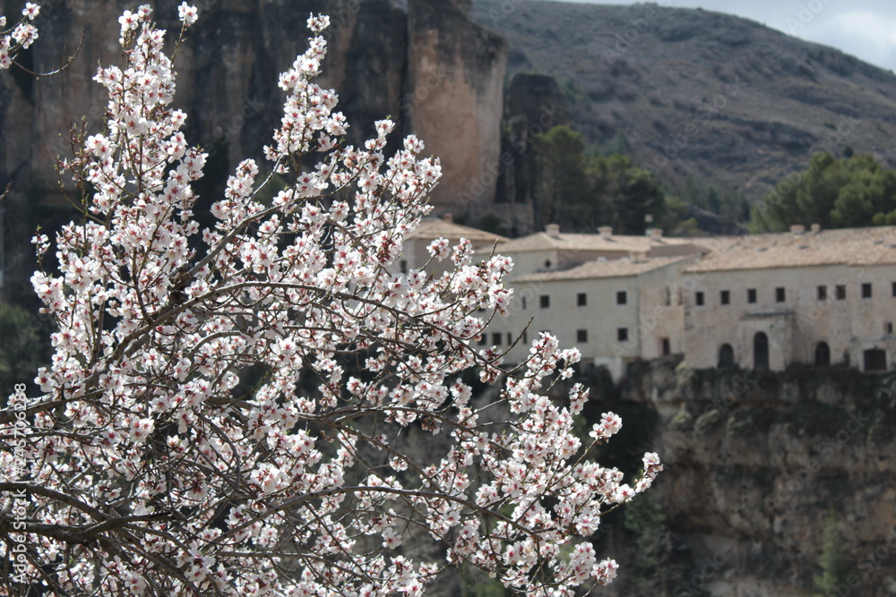 Naklejka premium Flores rosas