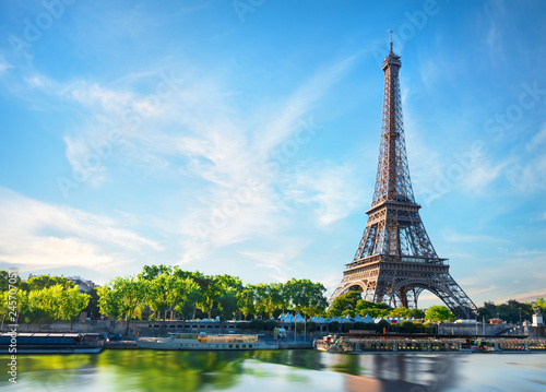 Slika na platnu Seine in Paris