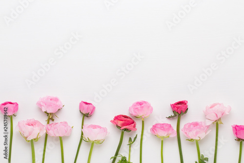 Fototapeta Naklejka Na Ścianę i Meble -  Beautiful colored ranunculus flowers on a white background.