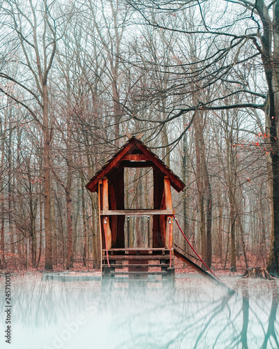 Small hut in the middle of forest during fall