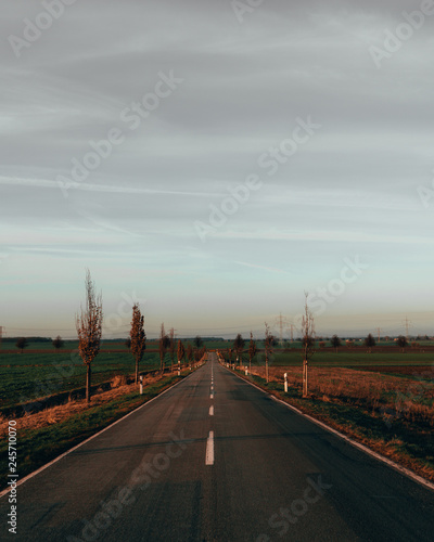 straight road during fall in germany