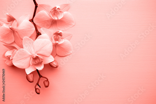 Fototapeta Naklejka Na Ścianę i Meble -  Spa.