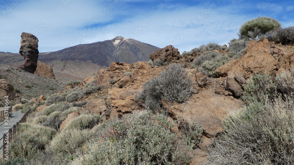 Teide National Reserve