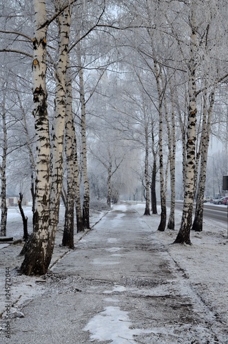 Fototapeta Naklejka Na Ścianę i Meble -  chodnik zimą