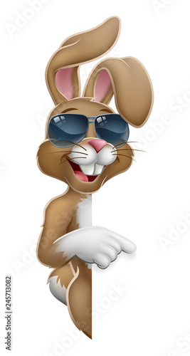 Easter bunny rabbit cartoon...
