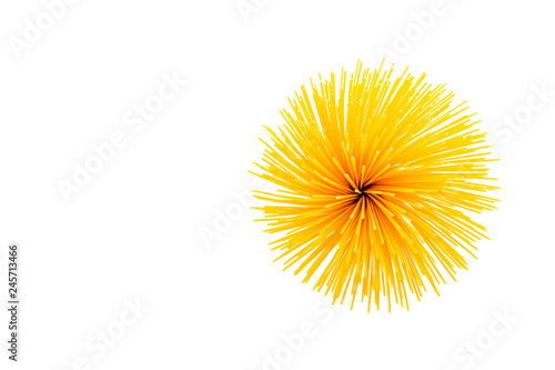 spaghetti on an isolated background,with copy space
