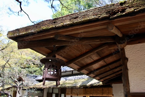 屋根と桜 © Nagisa GOGO