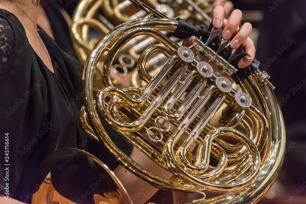 Fototapeta premium ホルン