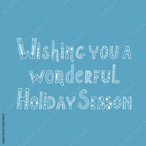 Wish you a good holiday quote. We wish you a wonderful holiday season, hand-drawn lettering. Vector. 