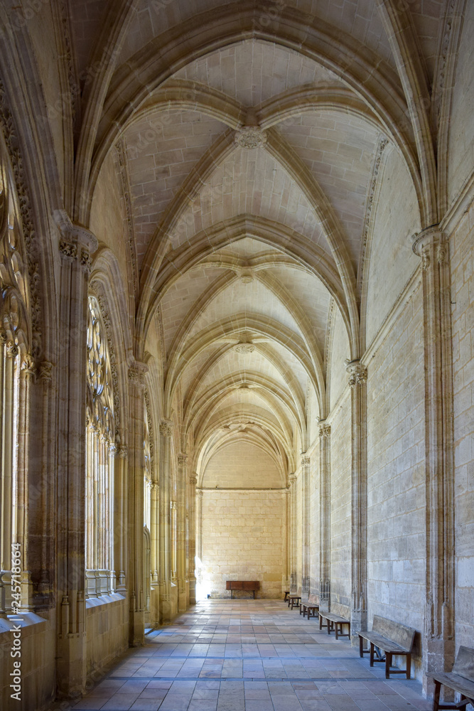 Interior of the Cathedral, gothic style, Segovia, Spain