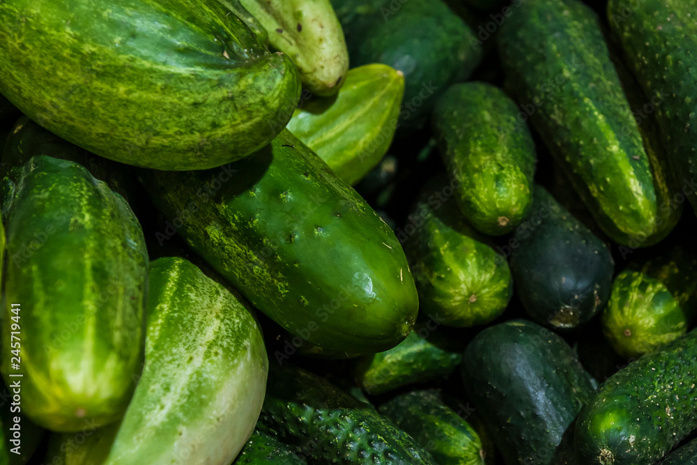 HORTALIÇAS PRODUZIDAS NO BRASIL HORTALIÇAS PRODUZIDAS NO BRASIL
