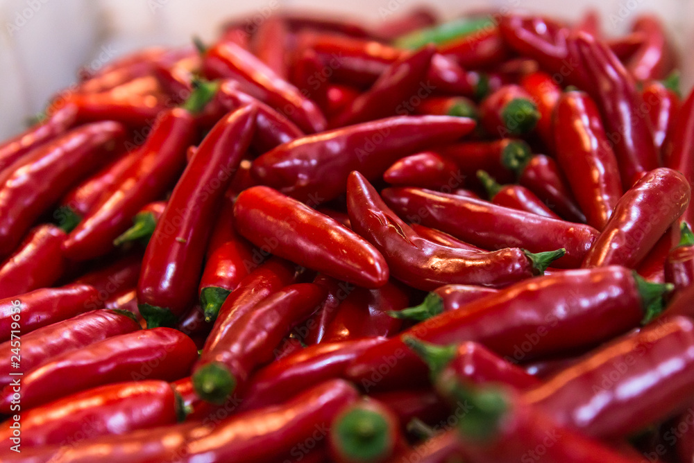 TEMPEROS ESPECIARIAS CULINÁRIA BRASILEIRA TEMPEROS ESPECIARIAS CULINÁRIA BRASILEIRA