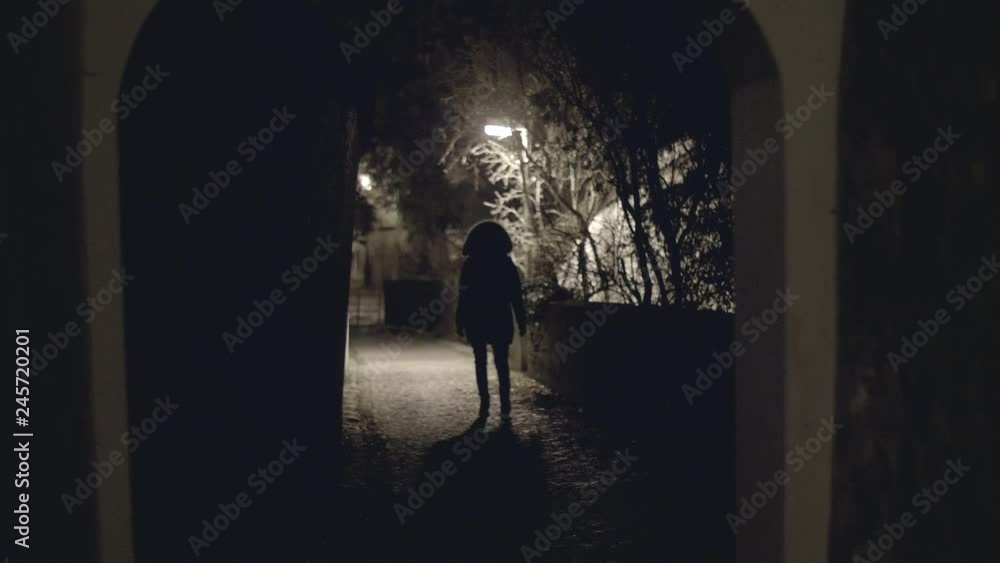 One unidentified person silhouette in winter jacket walking through an old dark brick tunnel to the light, future concept. One unidentified person silhouette in winter jacket walking through an old dark brick tunnel to the light, future concept.
