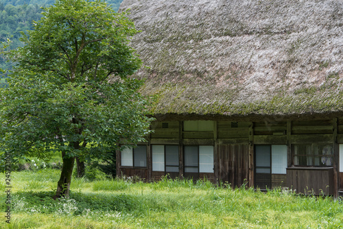 白川郷の畑の農家3